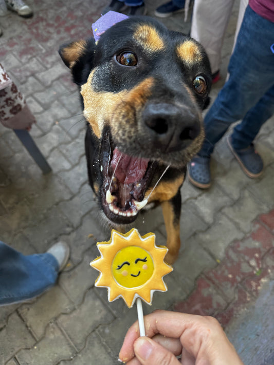 Number cookie cake topper