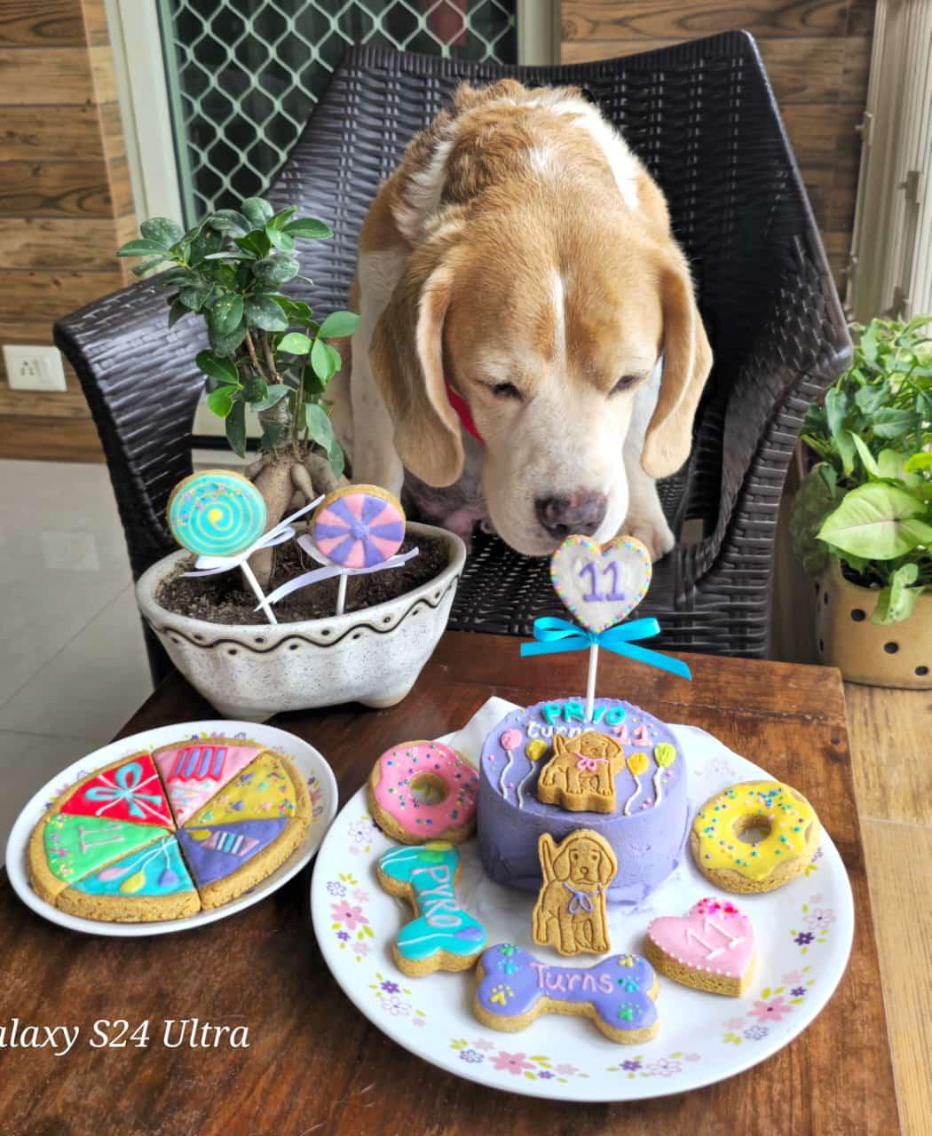 Number cookie cake topper