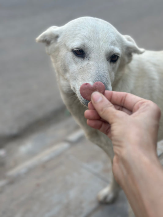 Triple berry bites 🍓🫐