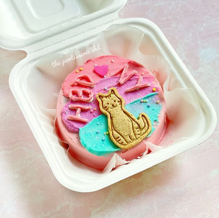 Cat bento Cake