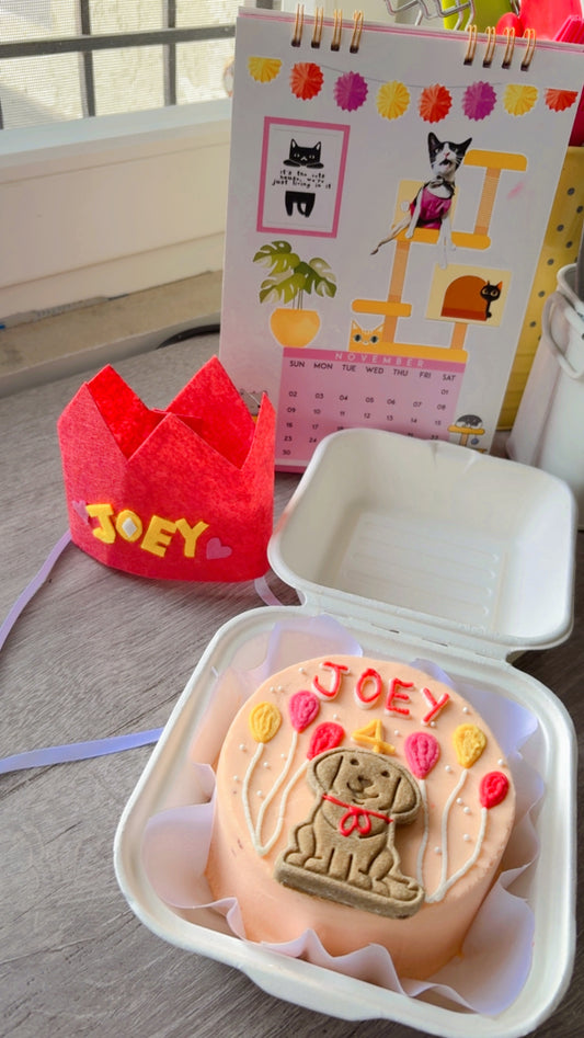 Bento hat combo 🥳