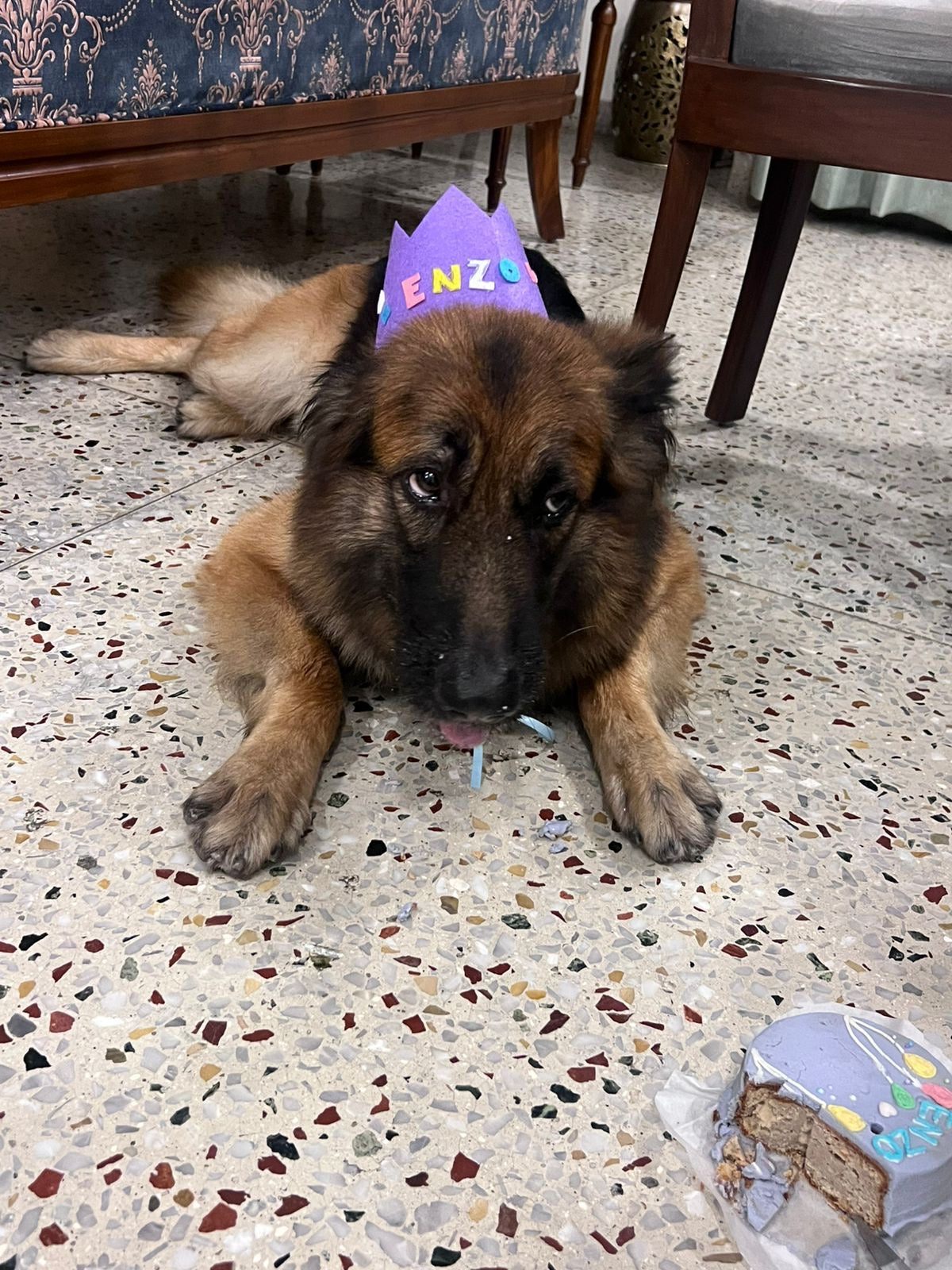 Birthday hat