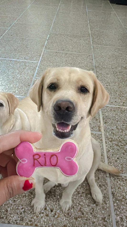 Paws and Kisses mini box