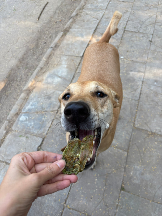 Spinach chicken jerky