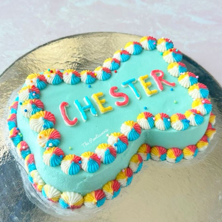 Bone Shaped Dog Cake