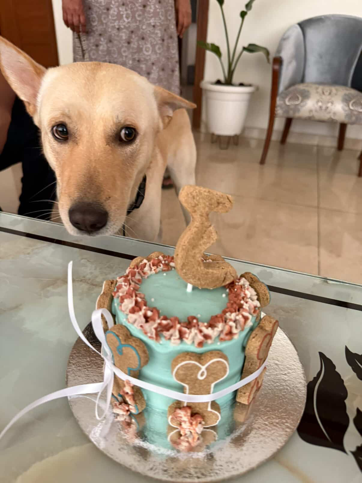 1/2 Kg Cake with Bone Cookies