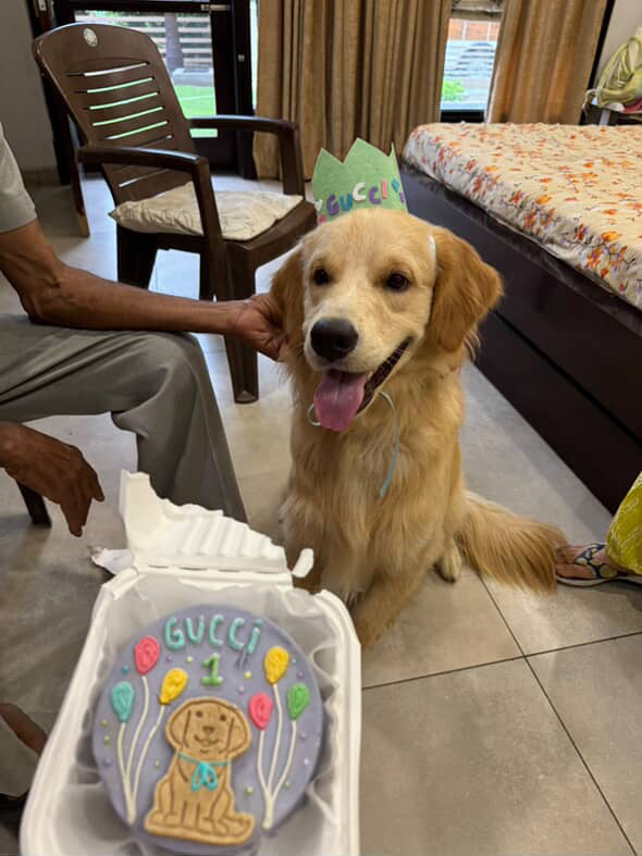 Bento hat combo 🥳