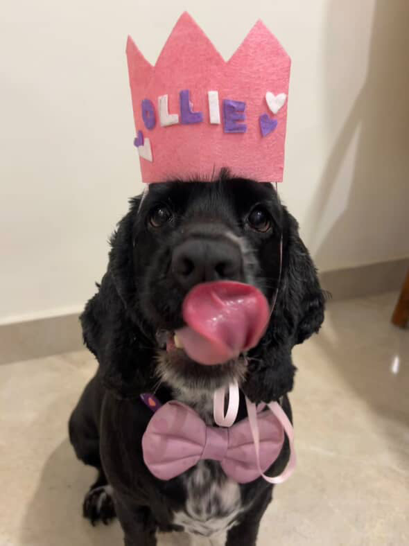 Birthday hat