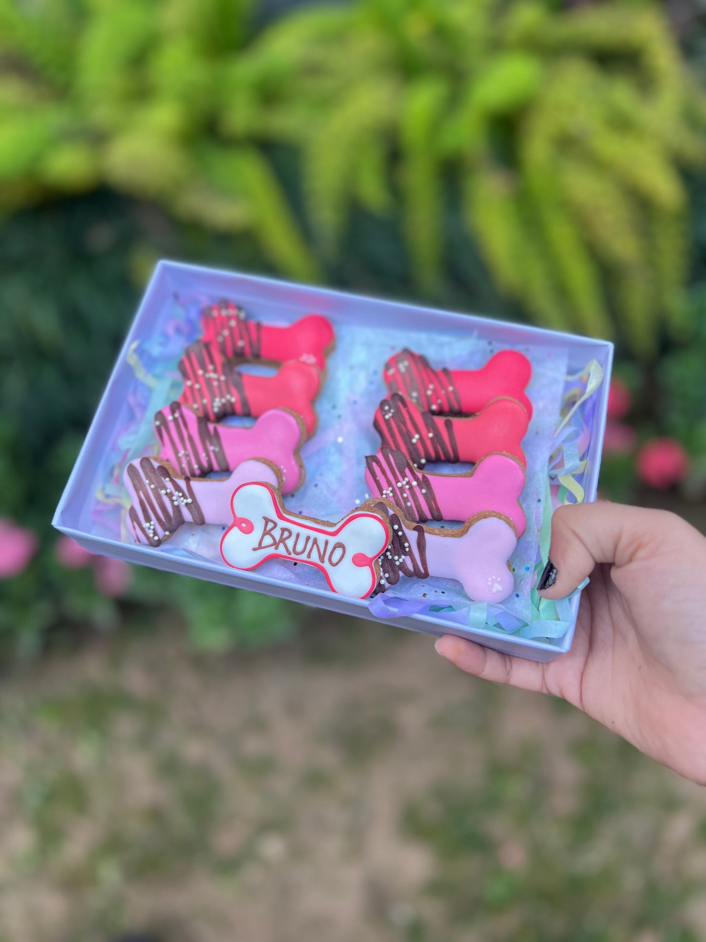 Paws and Kisses mini box