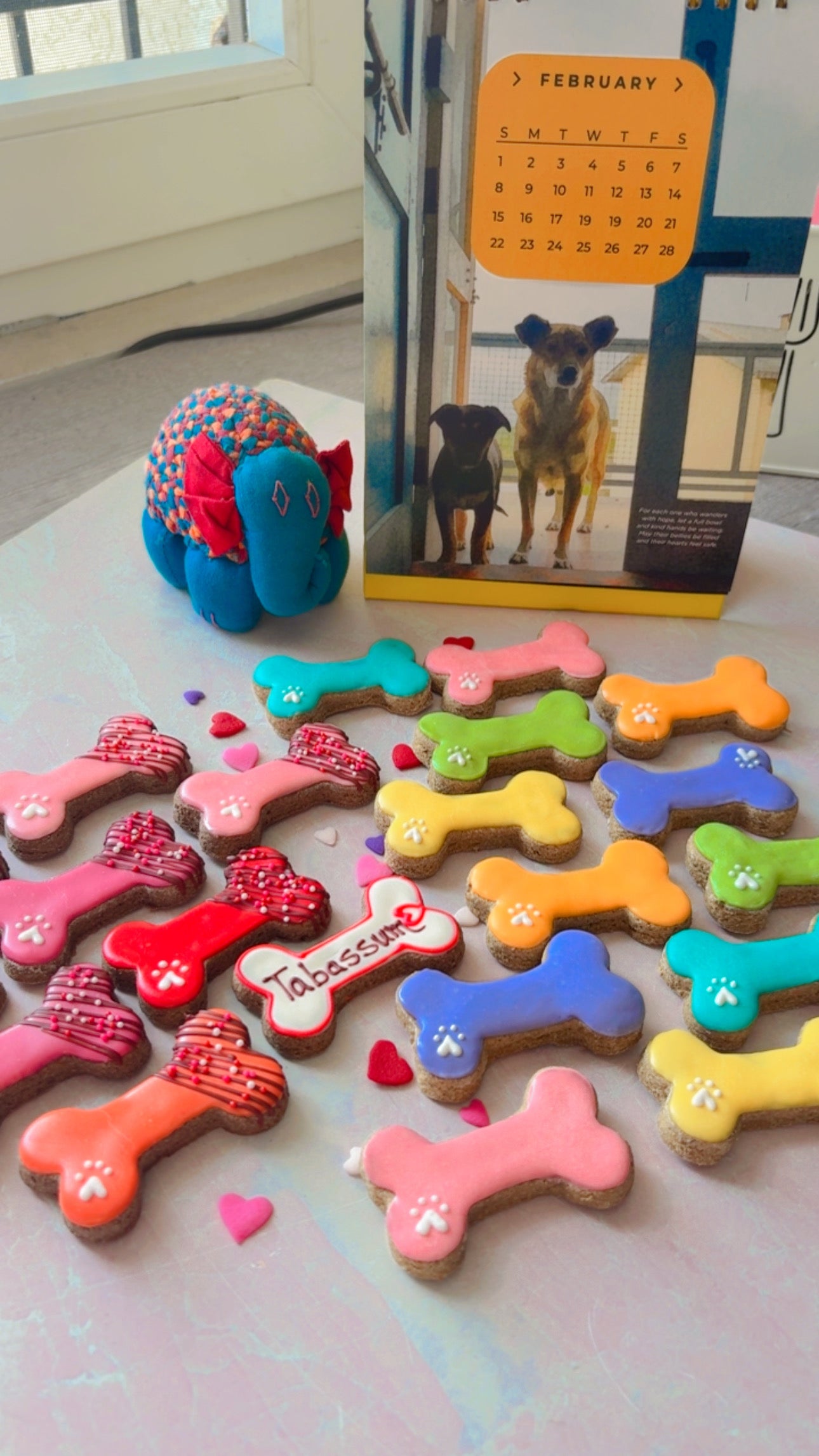 Love in all colors 🌈🩷