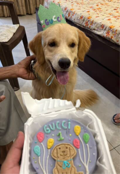 Birthday hat