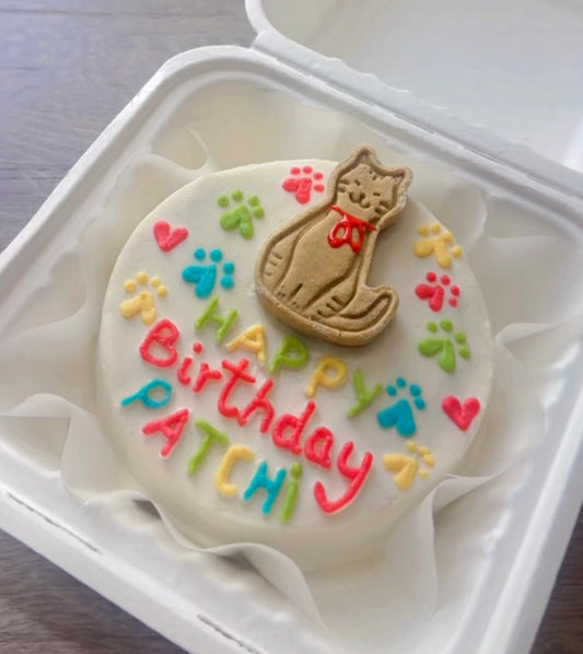Cat bento Cake
