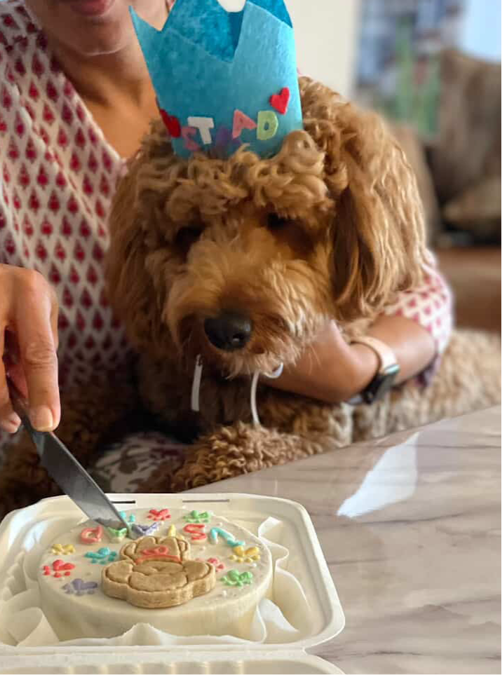 Birthday hat