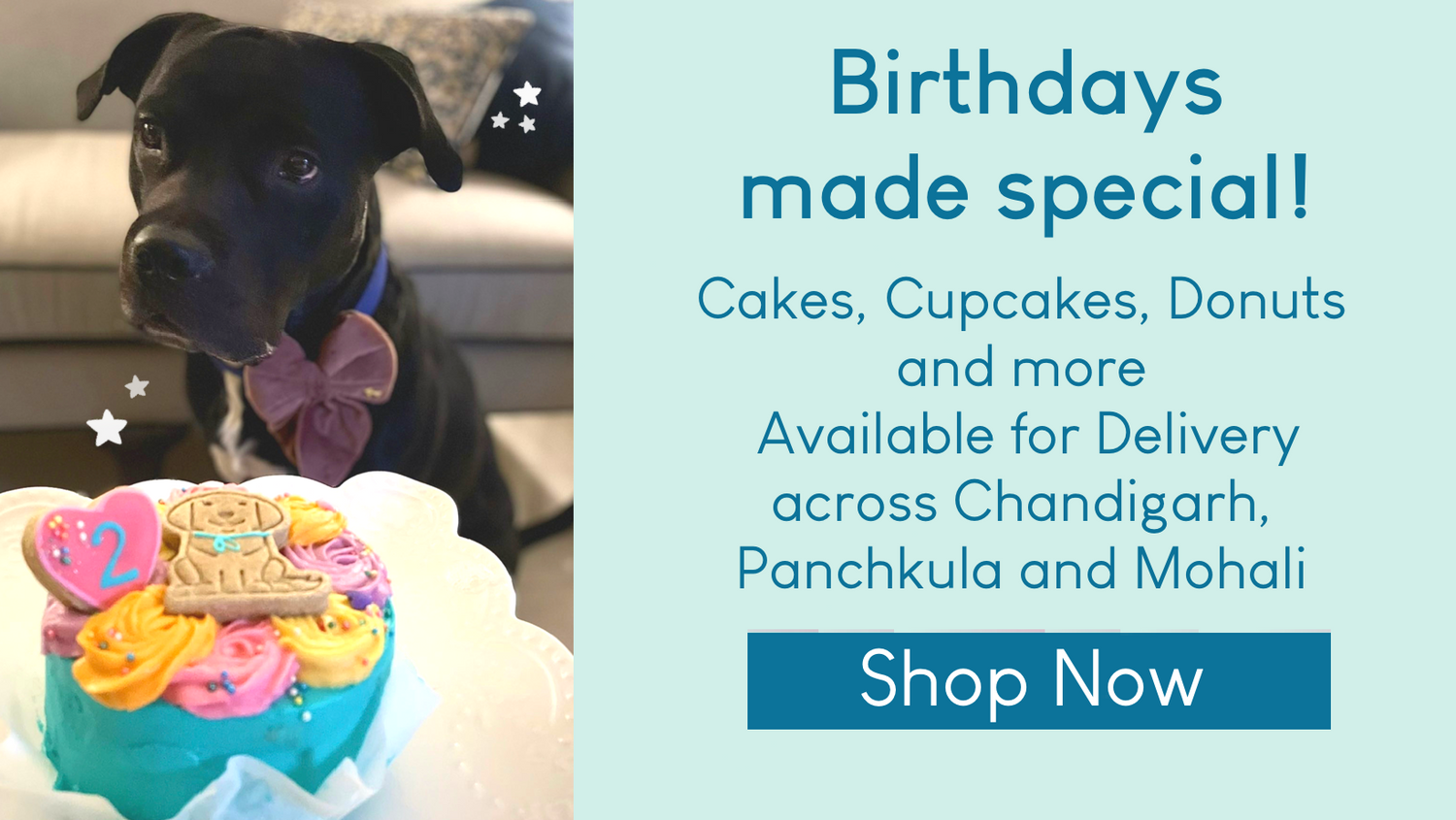 Dog Bakery Chandigarh Pet cakes Shipping pan India