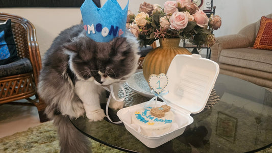 Cat bento Cake